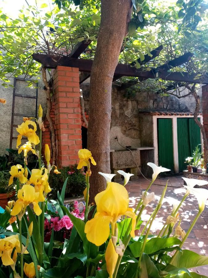 Nossa Casa Na Aldeia Lägenhet Viseu Exteriör bild